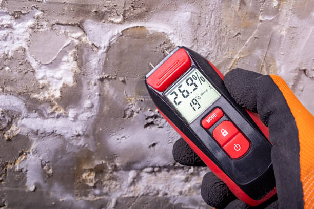Best Mold Removal Company Near Me  in Potomac Heights, MD