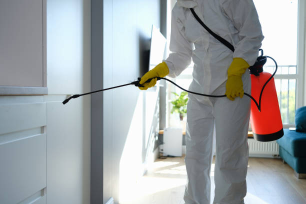 Best Crawl Space Mold Removal  in Potomac Heights, MD