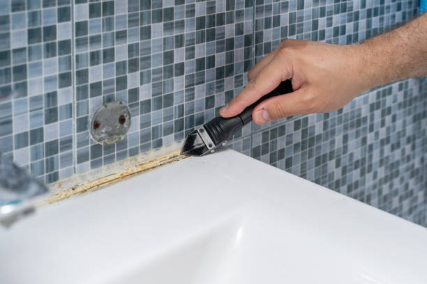 Best Best Mold Removal Companies  in Potomac Heights, MD